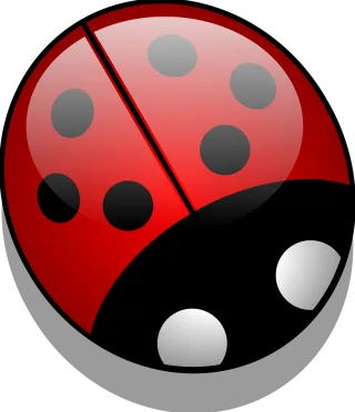 Ladybug Insect Nature Stickdatei