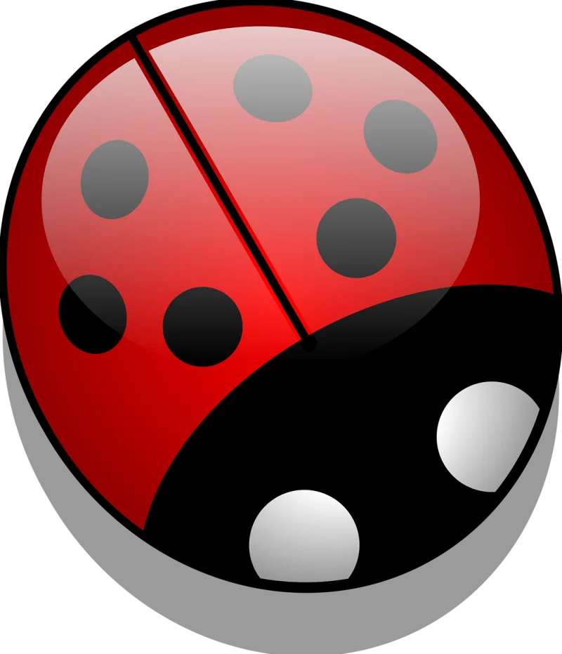 Ladybug Insect Nature Stickdatei – Tiere