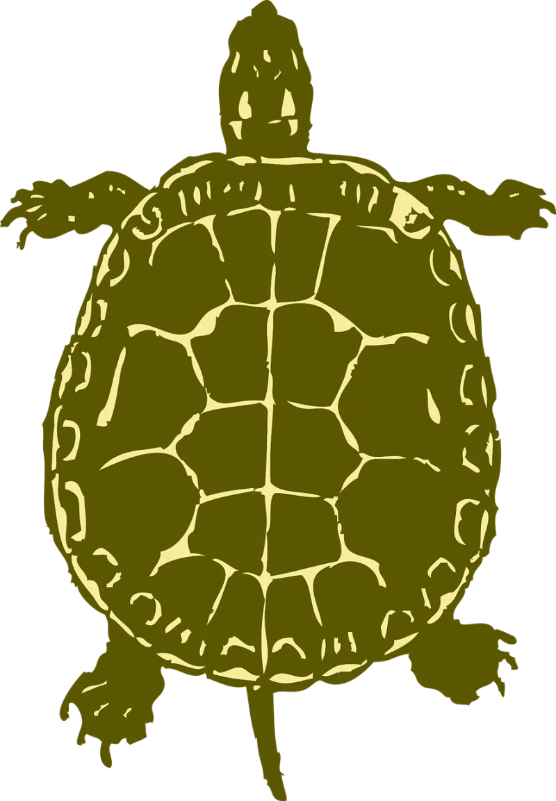 Turtle Top Green Stickdatei – Tiere