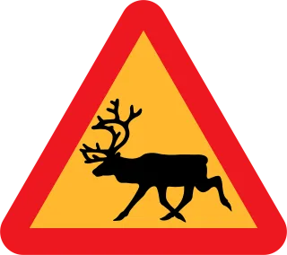 Safety Road Information Stickdatei