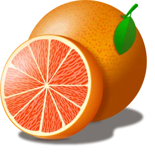 Grapefruit Vector The fruit Stickdatei – Essen & Trinken