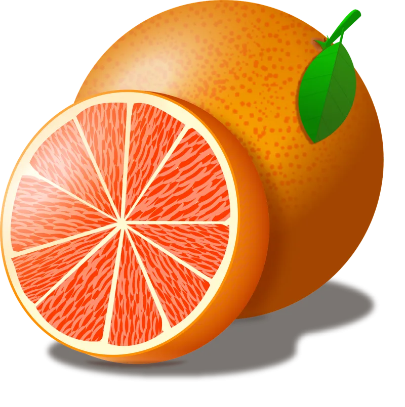 Grapefruit Vector The fruit Stickdatei – Essen & Trinken