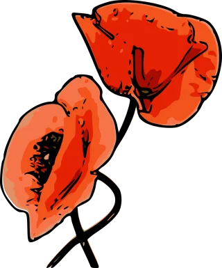 Poppies Flower wallpaper Nature Stickdatei