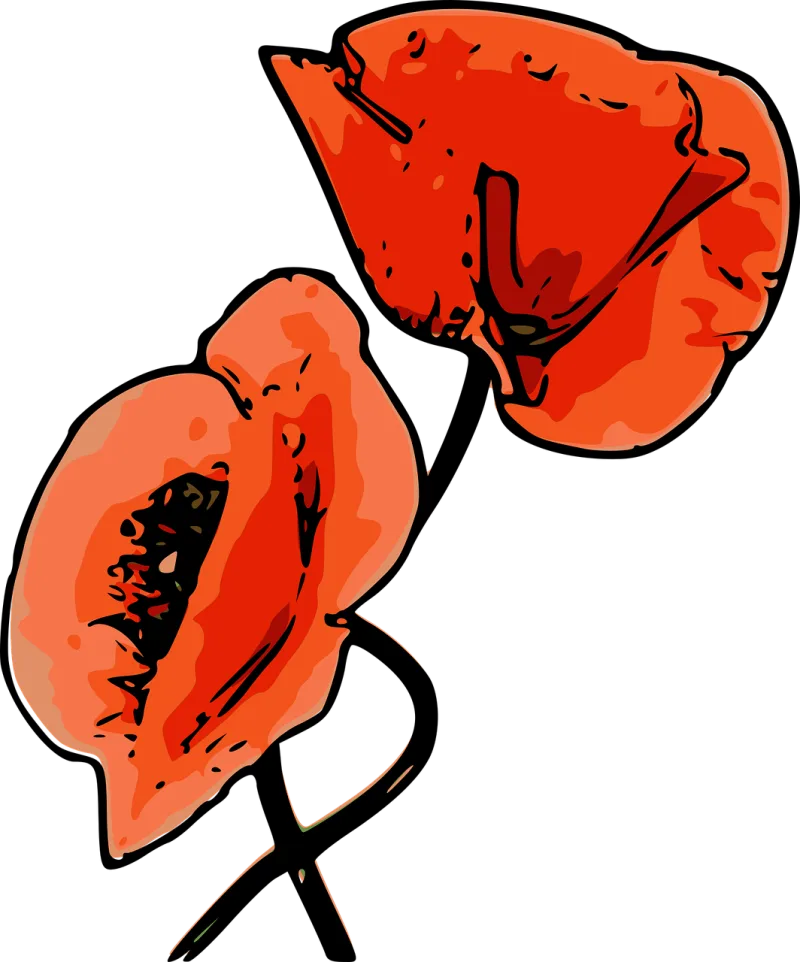 Poppies Flower wallpaper Nature Stickdatei – Blumen