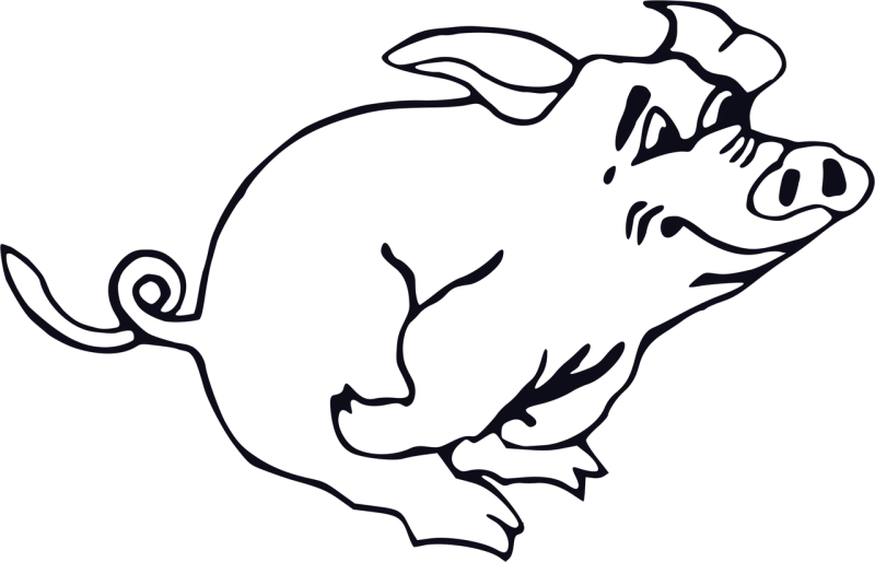 Pig Running Animal Stickdatei – Sport