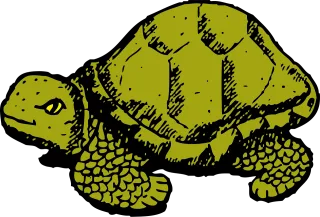 Tortoise Green Nature Stickdatei – Tiere
