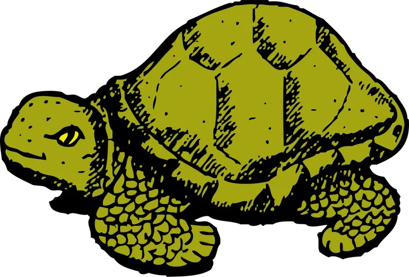 Tortoise Green Nature Stickdatei – Tiere