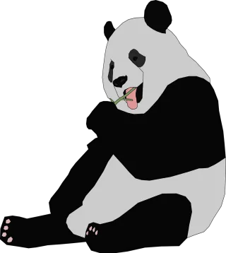 Panda Animal Bear Stickdatei