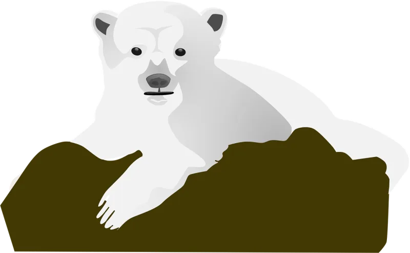 Rock Bear Snow Stickdatei – Tiere
