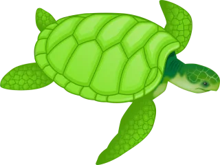 Animal Turtle Wildlife Stickdatei