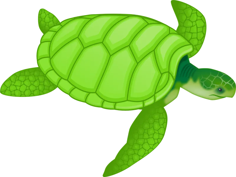 Animal Turtle Wildlife Stickdatei – Sport