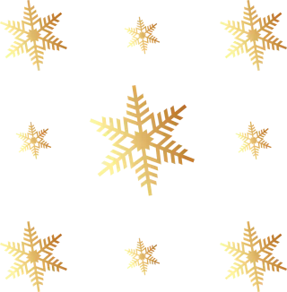Snowflake Christmas Winter Stickdatei