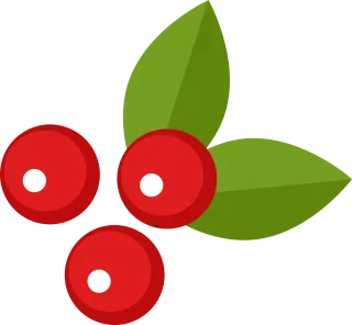 Berry Leaf Leaves Stickdatei – Weihnachten