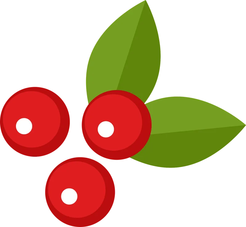 Berry Leaf Leaves Stickdatei – Weihnachten