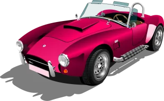 Car Auto Rose flower Stickdatei – Blumen