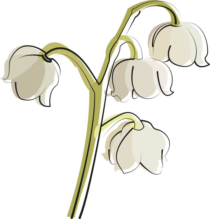 Lily of the valley Flower White Stickdatei – Blumen
