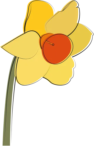 Narcissus Flower Beautiful flowers Stickdatei