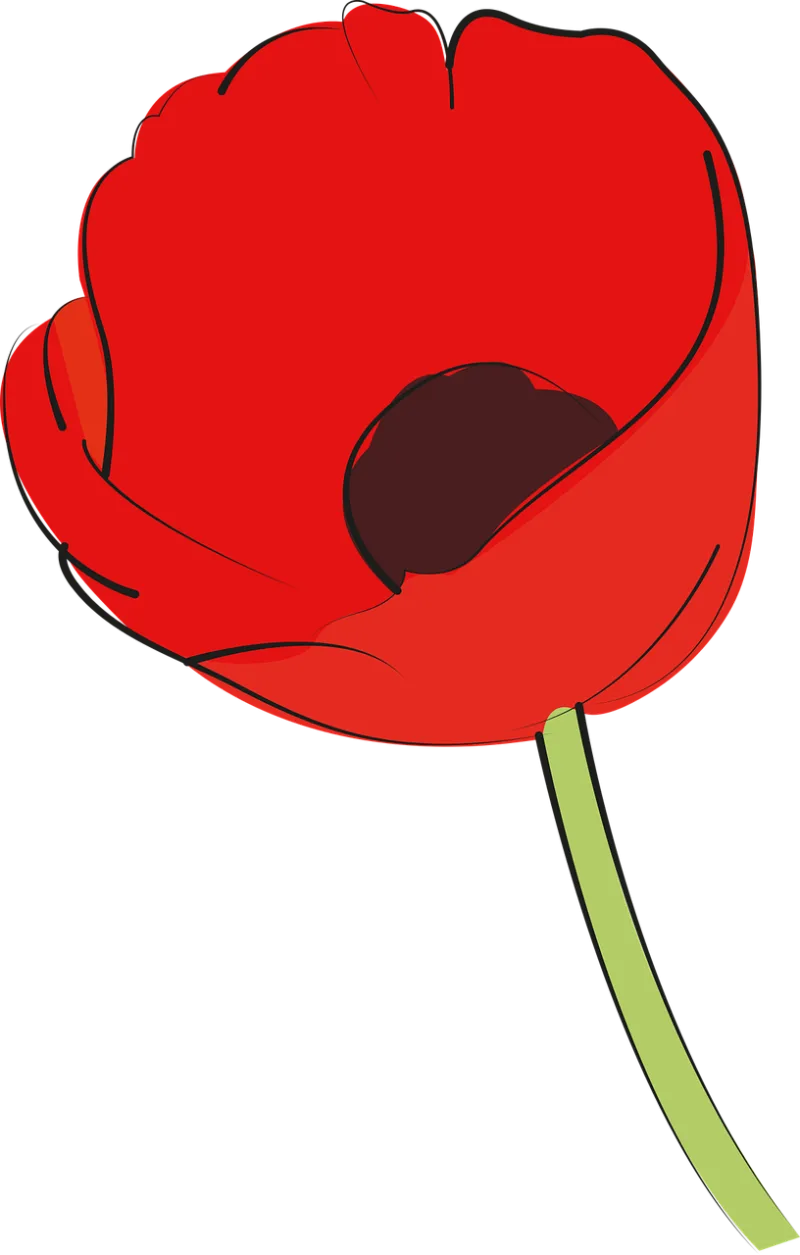 Poppy Poppies Field Stickdatei – Blumen