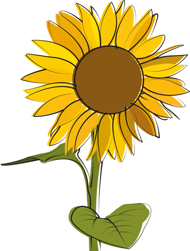 Sunflower Sun Flower background Stickdatei – Blumen