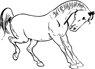 Horse Animal Wild Stickdatei – Tiere