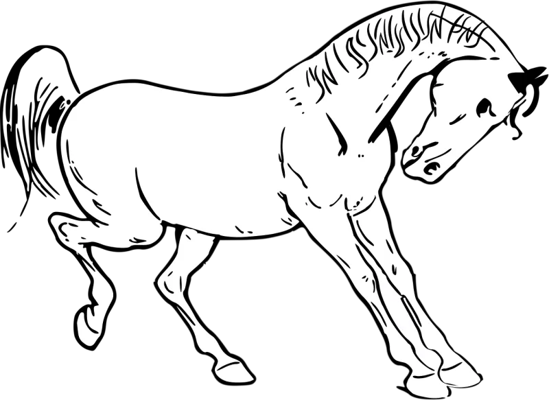 Horse Animal Wild Stickdatei – Tiere