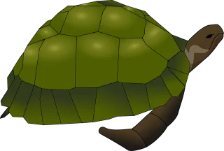 Turtle Tortoise Green Stickdatei