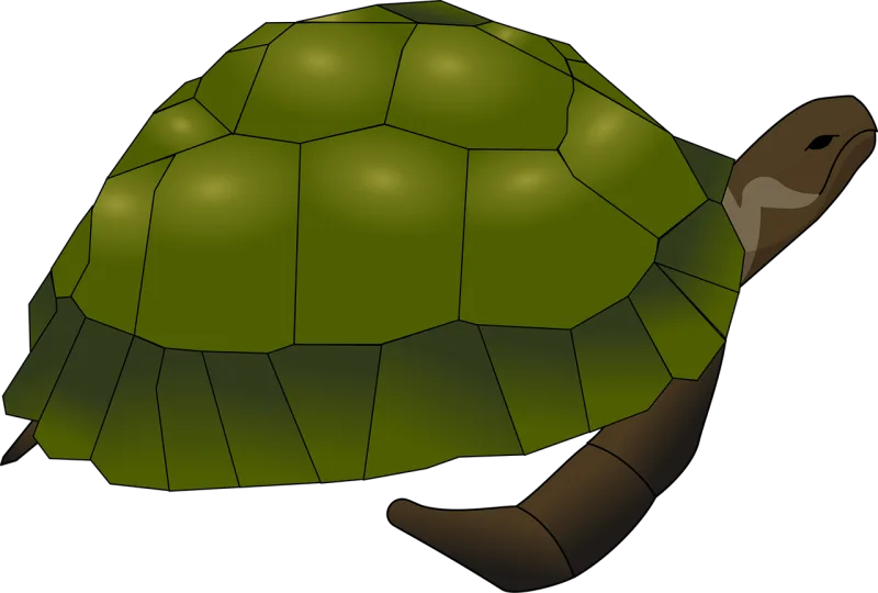 Turtle Tortoise Green Stickdatei – Tiere