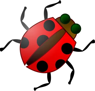 Insect Bug Red Stickdatei