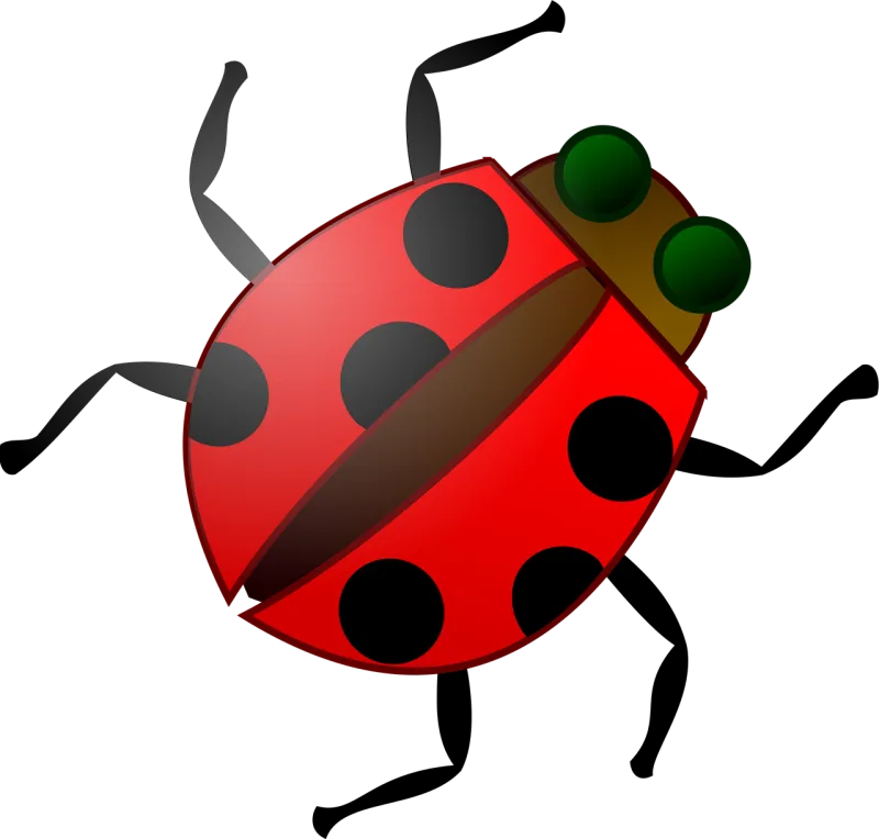 Insect Bug Red Stickdatei – Tiere