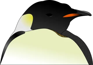 Head Penguin Nature Stickdatei