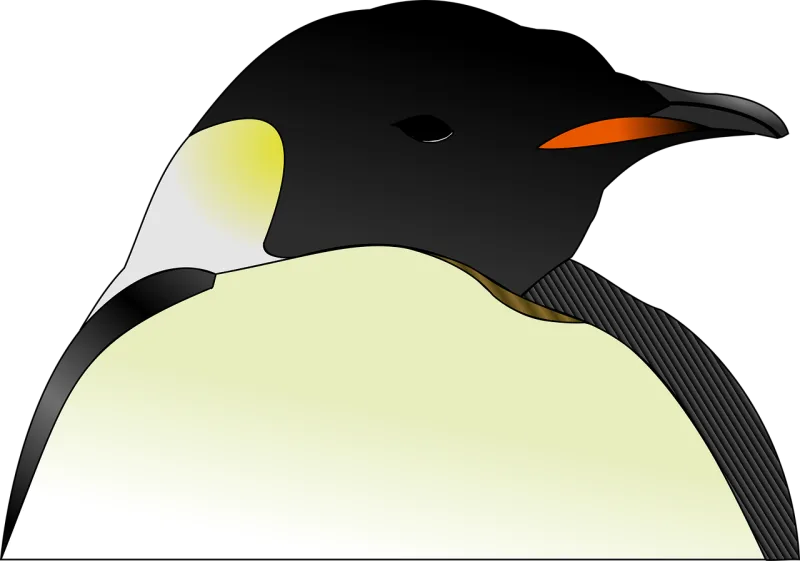 Head Penguin Nature Stickdatei – Tiere