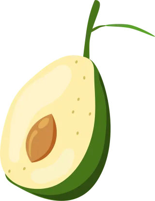 Avocado Fruit Food Stickdatei