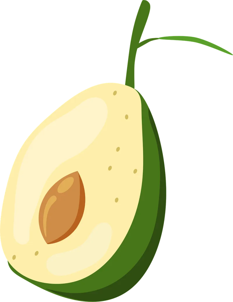 Avocado Fruit Food Stickdatei – Essen & Trinken