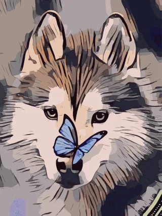 Butterfly Husky Dog Stickdatei