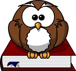Owl Bird Book Stickdatei