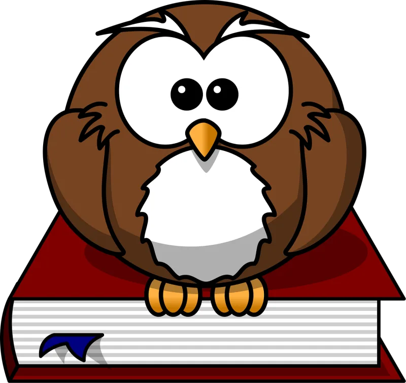 Owl Bird Book Stickdatei – Tiere