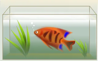 Fish Tank Swimming Stickdatei