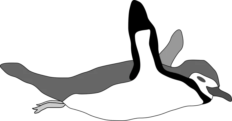 Penguin Swimming Bird Stickdatei – Sport