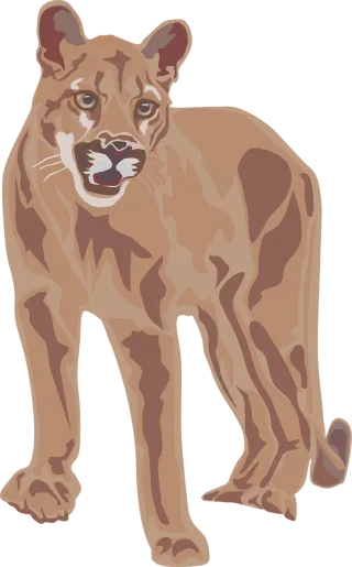 Cougar Mountain Lion Stickdatei