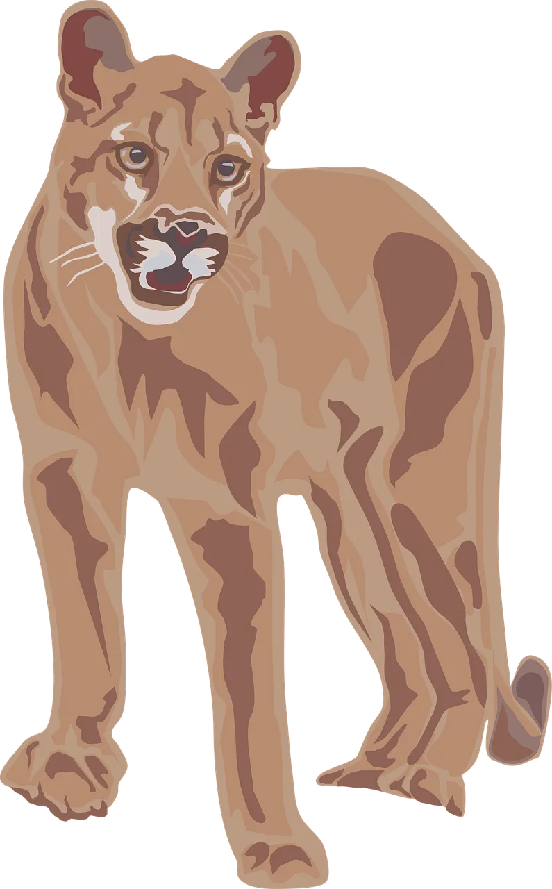 Cougar Mountain Lion Stickdatei – Natur