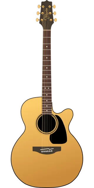 Guitar Music Instrument Stickdatei