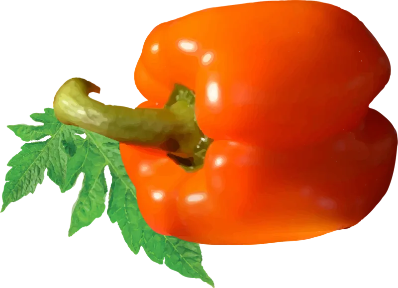 Tomato Tomato vector Tomatoes Stickdatei – Weihnachten