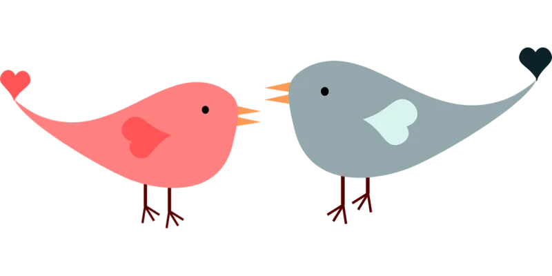 Birds Lovebirds Love Stickdatei – Herzen & Liebe