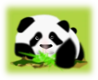 Panda Bear Back Stickdatei