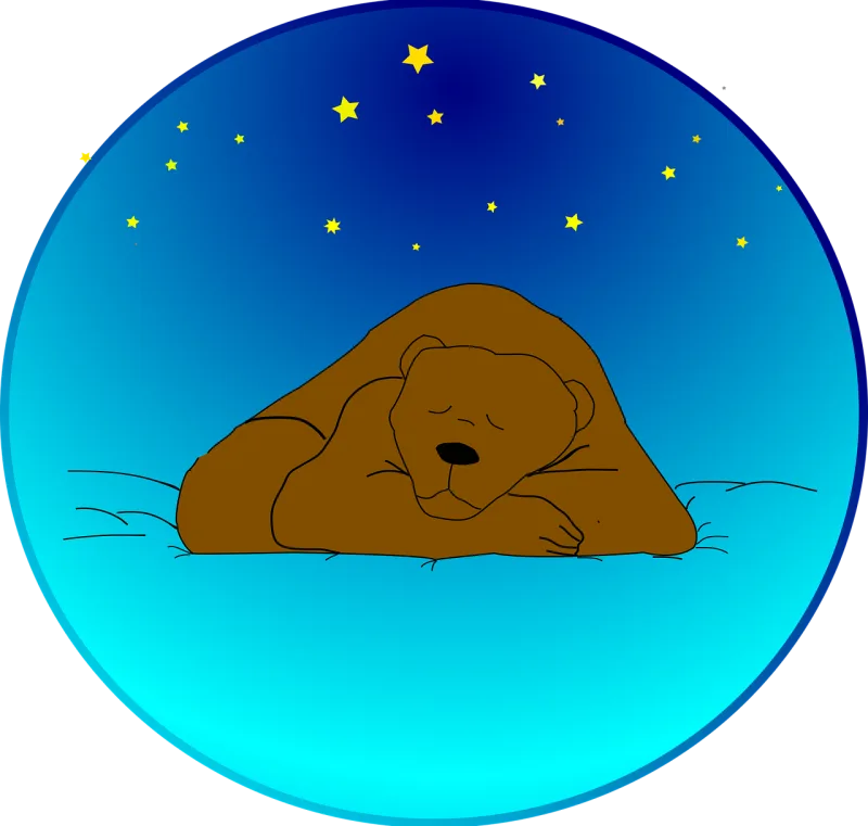 Bear Sleeping Under Stickdatei – Tiere