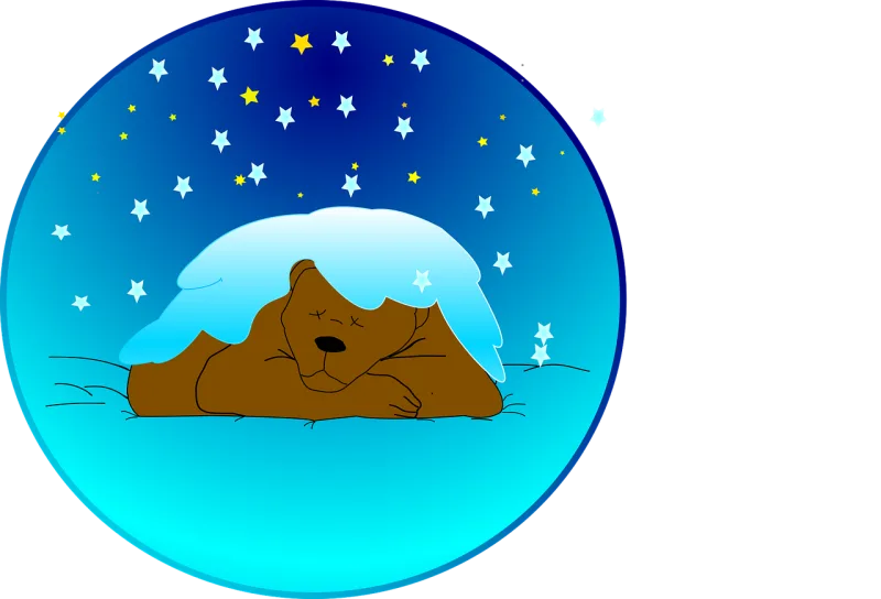 Bear Sleeping Night sky Stickdatei – Tiere