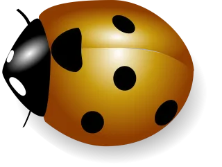 Orange Ladybug Wings Stickdatei
