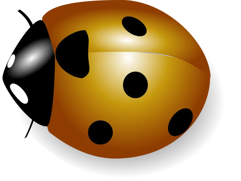 Orange Ladybug Wings Stickdatei – Tiere
