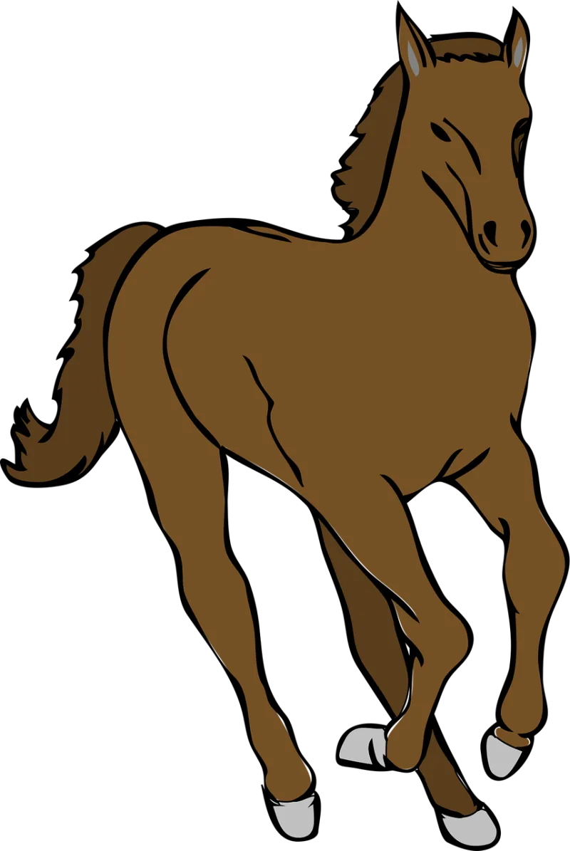 Horse Animal Mammal Stickdatei – Sport