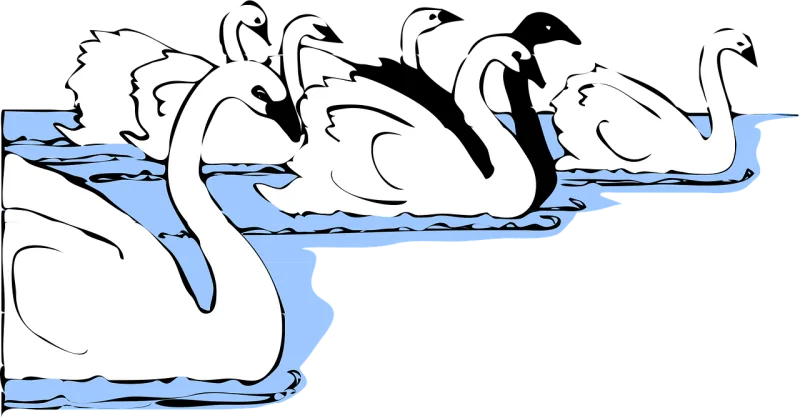 Swans Birds Animal Stickdatei – Natur